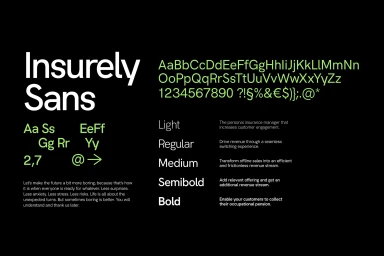 Insurely brand identity display showing typography weights alphabet and descriptions on black background