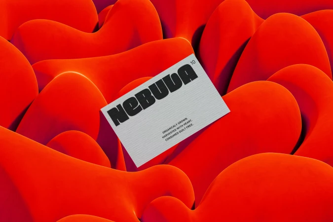 3D render of a product label with the brand name 'Nebula' amidst abstract orange shapes, creating a modern, eye-catching design.