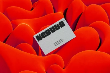 A white business card with bold black typography resting on vibrant organic red sculptural shapes.