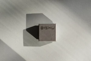 Square grey textured packaging box with stamped BISHU logo resting on a matching surface under angled directional lighting