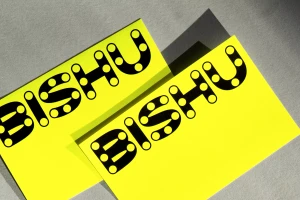 Two bright yellow cards featuring bold black typography spelling BISHU resting on a textured grey concrete surface under hard directional light.