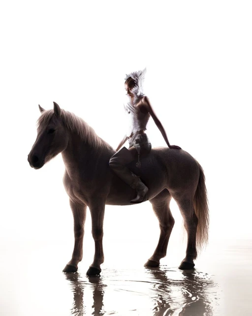 Person in avant-garde costume rides horse standing in shallow water. White background, surreal fashion, conceptual, equine.