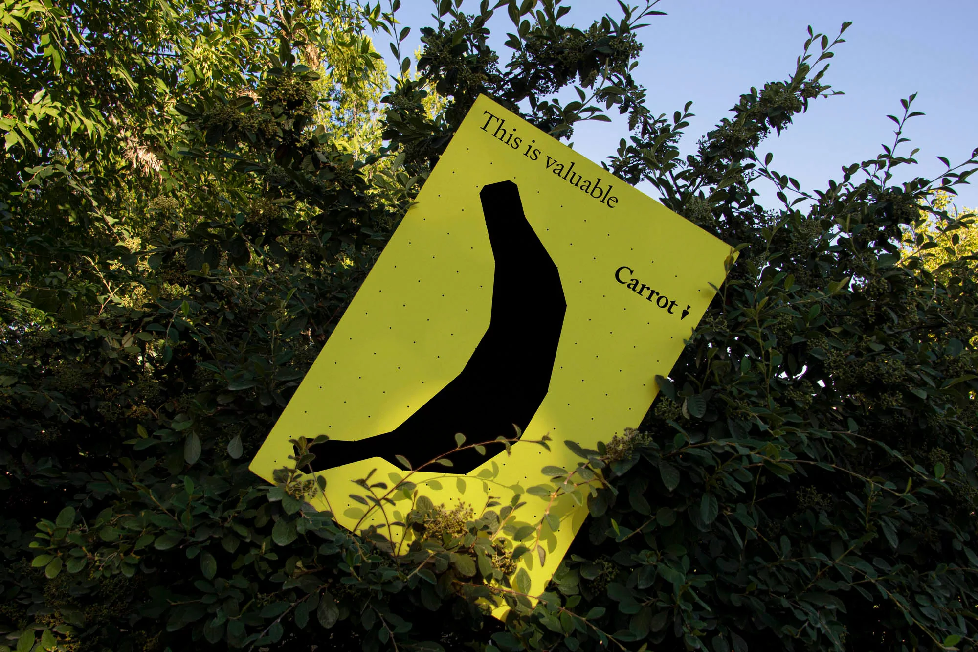 Whimsical art displaying a yellow sign with a black banana shape and the text 'This is valuable' and 'Carrot', nestled among green foliage.