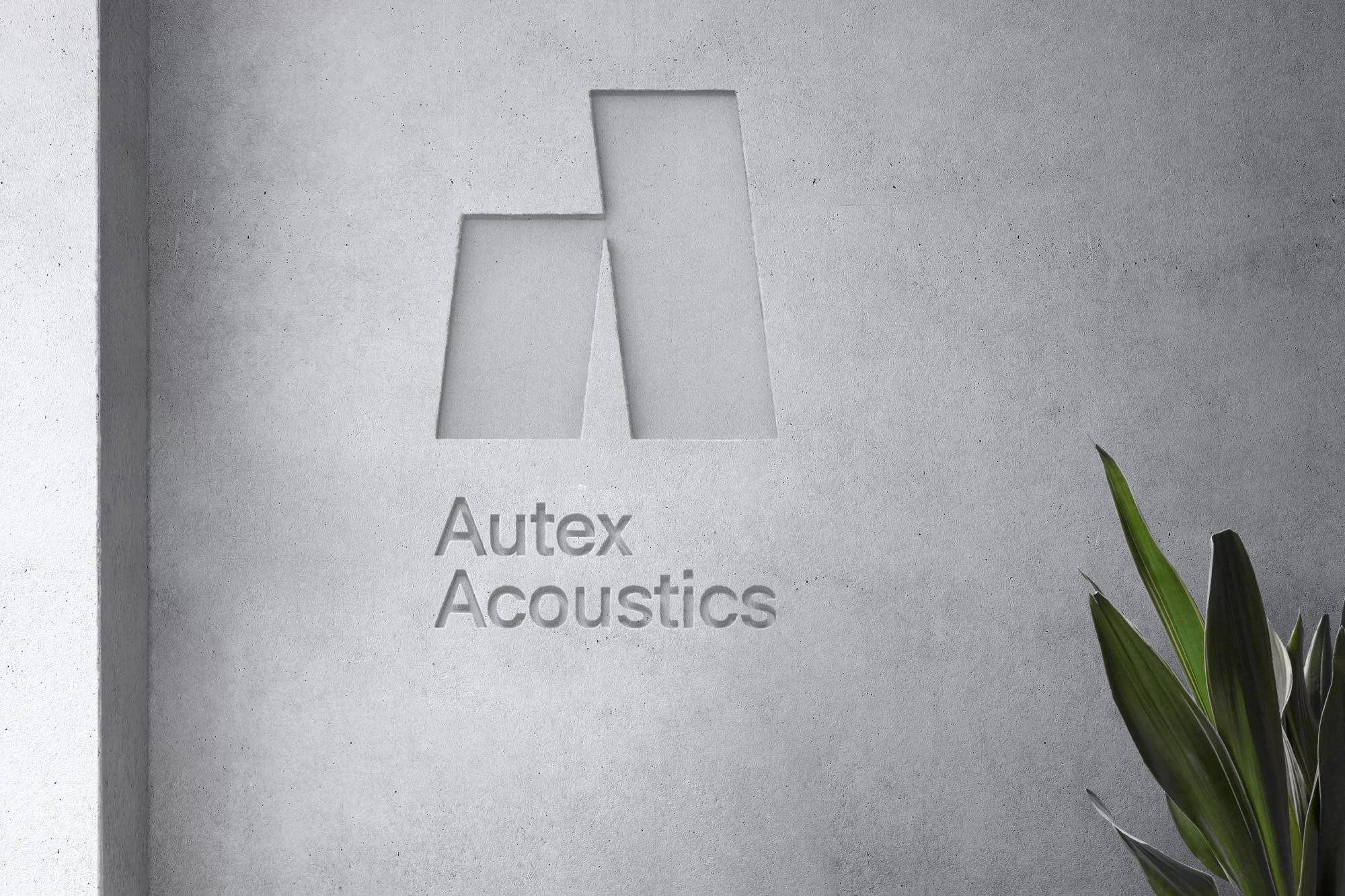 Concrete wall with the carved Autex Acoustics logo and live green plant adding a natural element to the minimalist interior design.