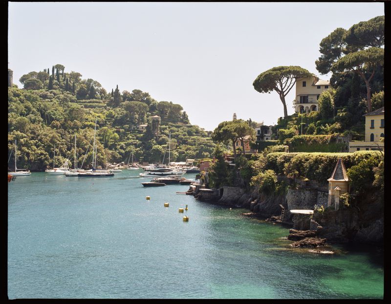 Picturesque harbor view in Portofino, Italy with sailboats, yachts, and hillside villas surrounded by lush green trees and clear turquoise water.