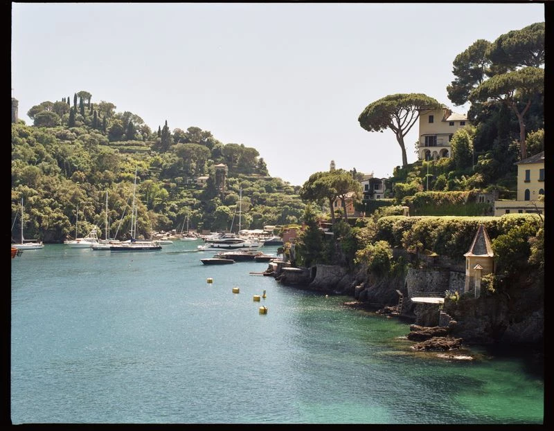Picturesque harbor view in Portofino, Italy with sailboats, yachts, and hillside villas surrounded by lush green trees and clear turquoise water.