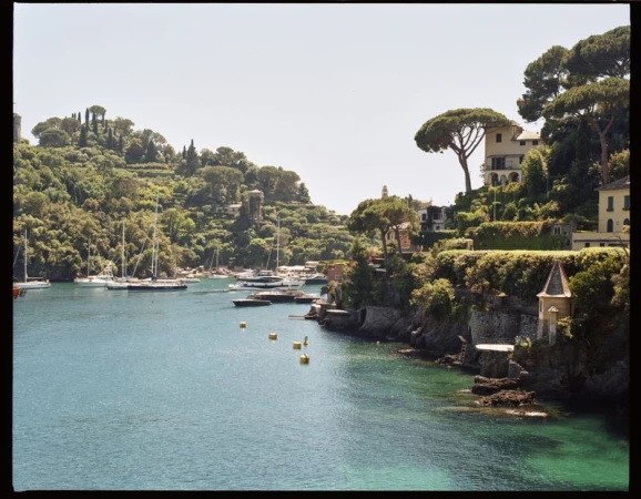 Picturesque harbor view in Portofino, Italy with sailboats, yachts, and hillside villas surrounded by lush green trees and clear turquoise water.