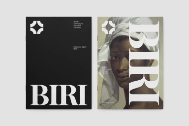 Two printed reports for BIRI displayed side by side against a neutral light grey background, featuring stark minimalist typography.