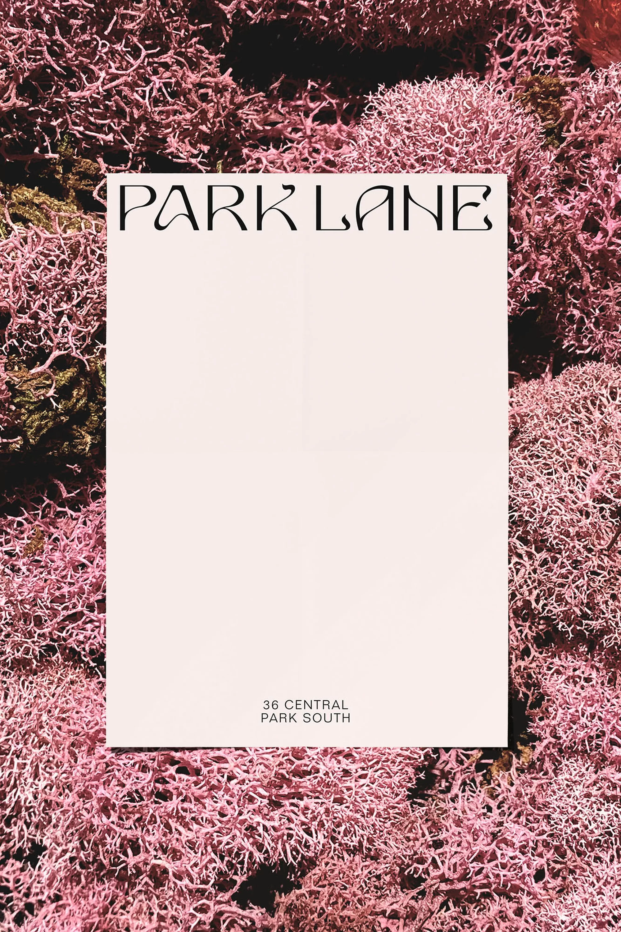 Flyer for Park Lane real estate, features a pale pink flyer with black text laid flat on top of pink and green mossy ground cover.