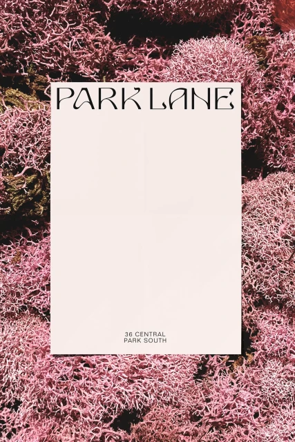 Flyer for Park Lane real estate, features a pale pink flyer with black text laid flat on top of pink and green mossy ground cover.