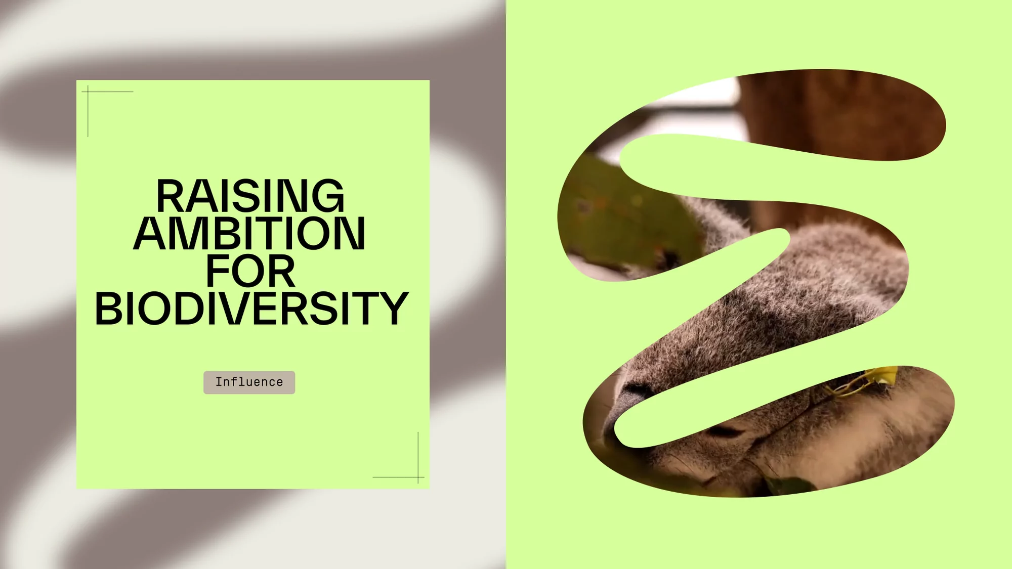 Graphic image promoting biodiversity featuring the text 'Raising Ambition for Biodiversity' and an image of a koala bear.