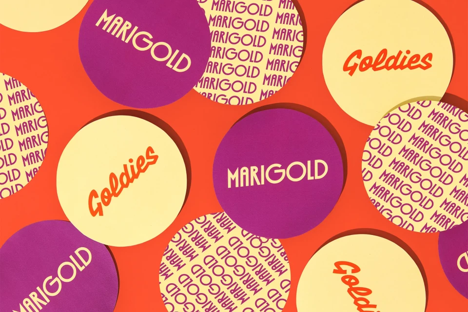 Brand Identity