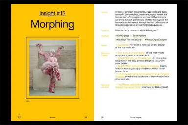 Editorial spread layout titled Insight 12 Morphing with a yellow left panel showing a costumed figure and a white right panel with text