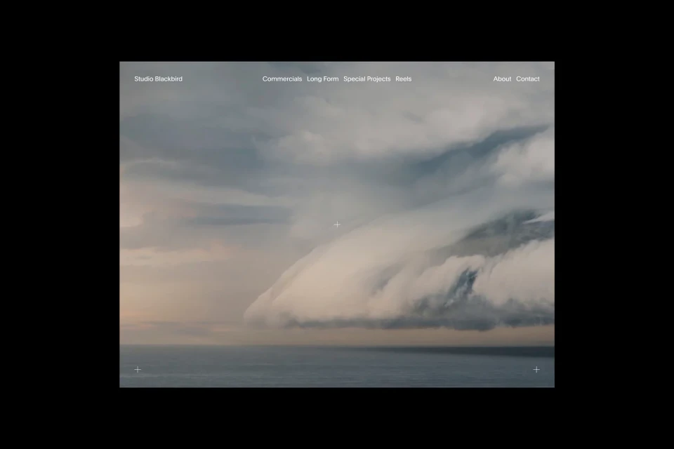 Brand Identity