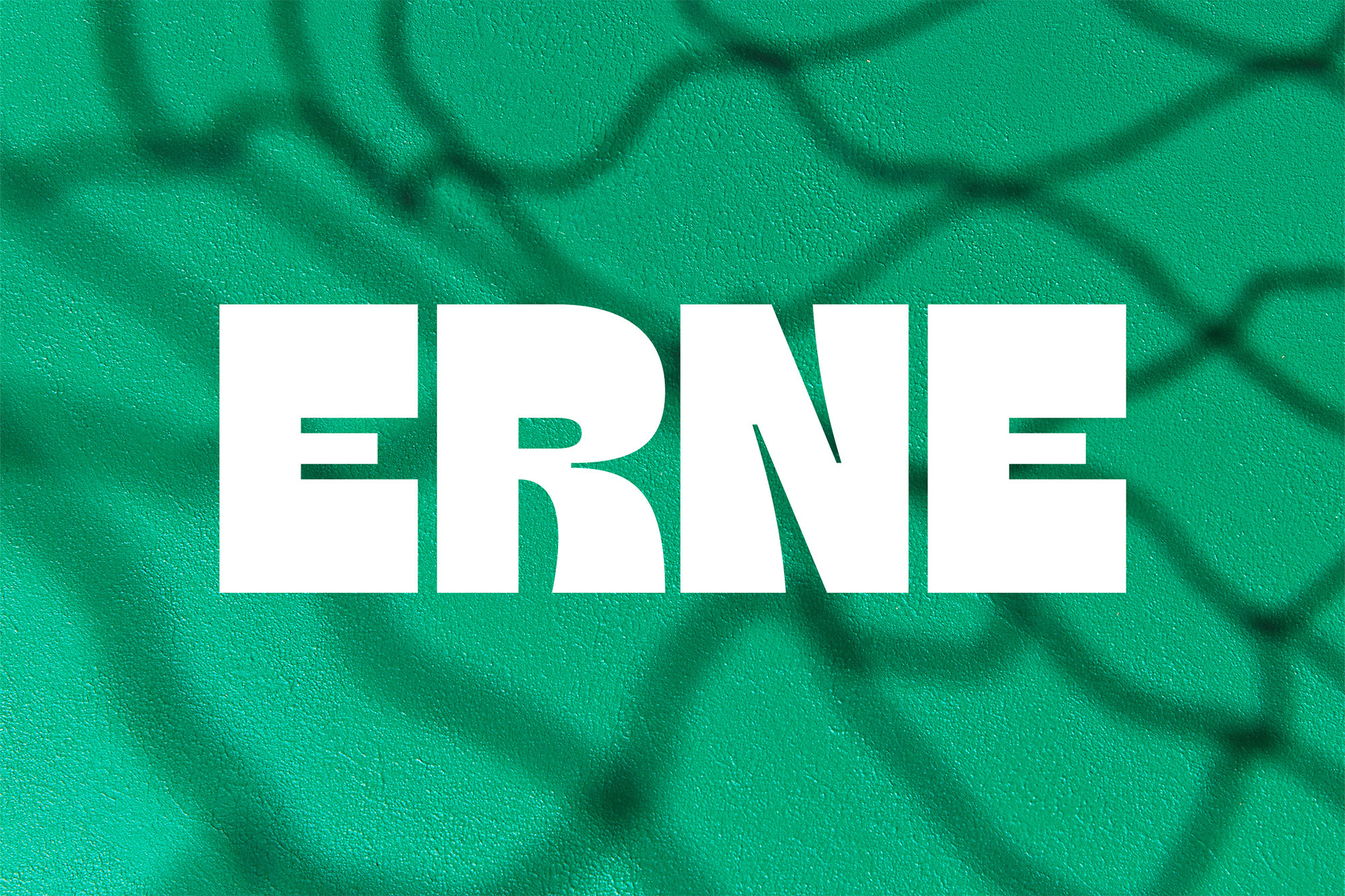 Bold white ERNE text against a green textured background with a shadow pattern, creating a modern and eye-catching graphic design.