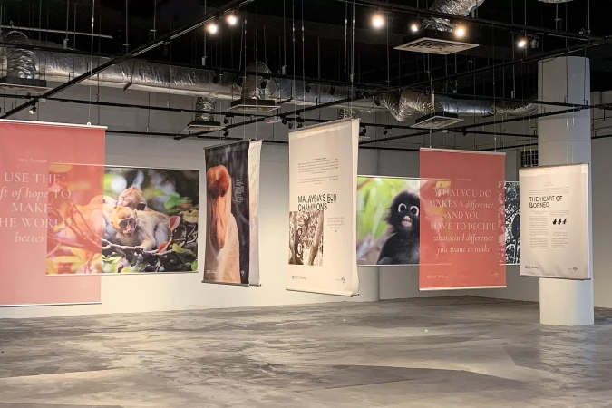 Indoor exhibition space featuring hanging art prints showcasing photographs and inspirational texts related to wildlife and nature conservation.