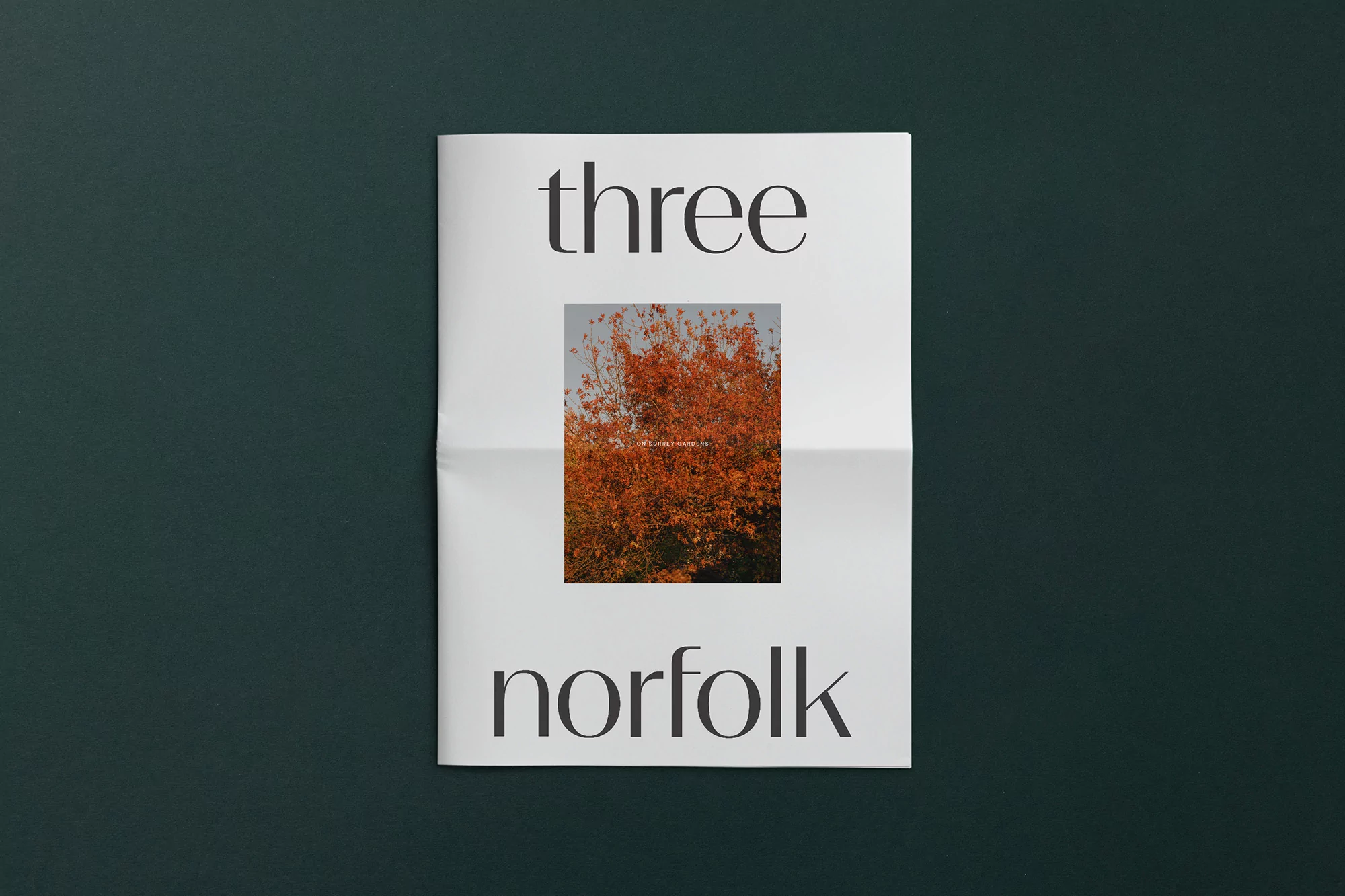 Magazine cover featuring an image of a tree with orange leaves against a teal background, with the words 'three' and 'norfolk'.