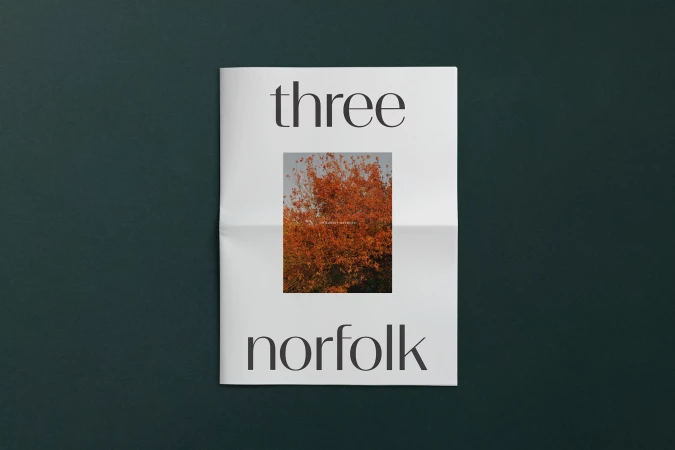 Magazine cover featuring an image of a tree with orange leaves against a teal background, with the words 'three' and 'norfolk'.