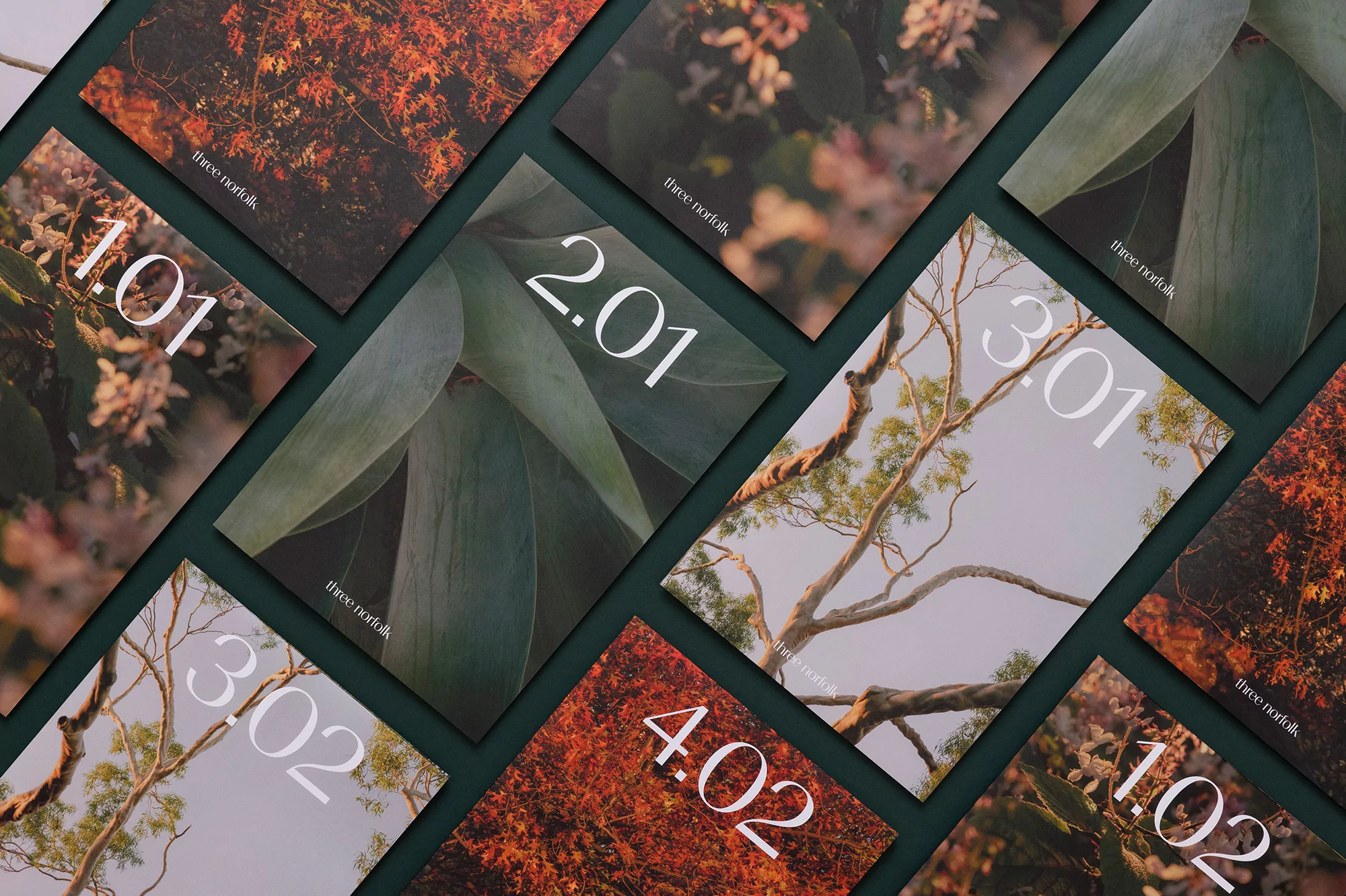 Collection of nature-themed cards featuring foliage, trees, and floral designs, arranged on a dark green surface in an overhead shot.