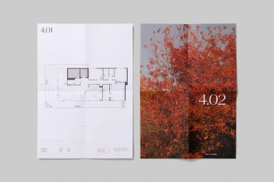 Two open brochure pages featuring architectural floor plans and a vibrant red autumn tree photograph by Three Norfolk.