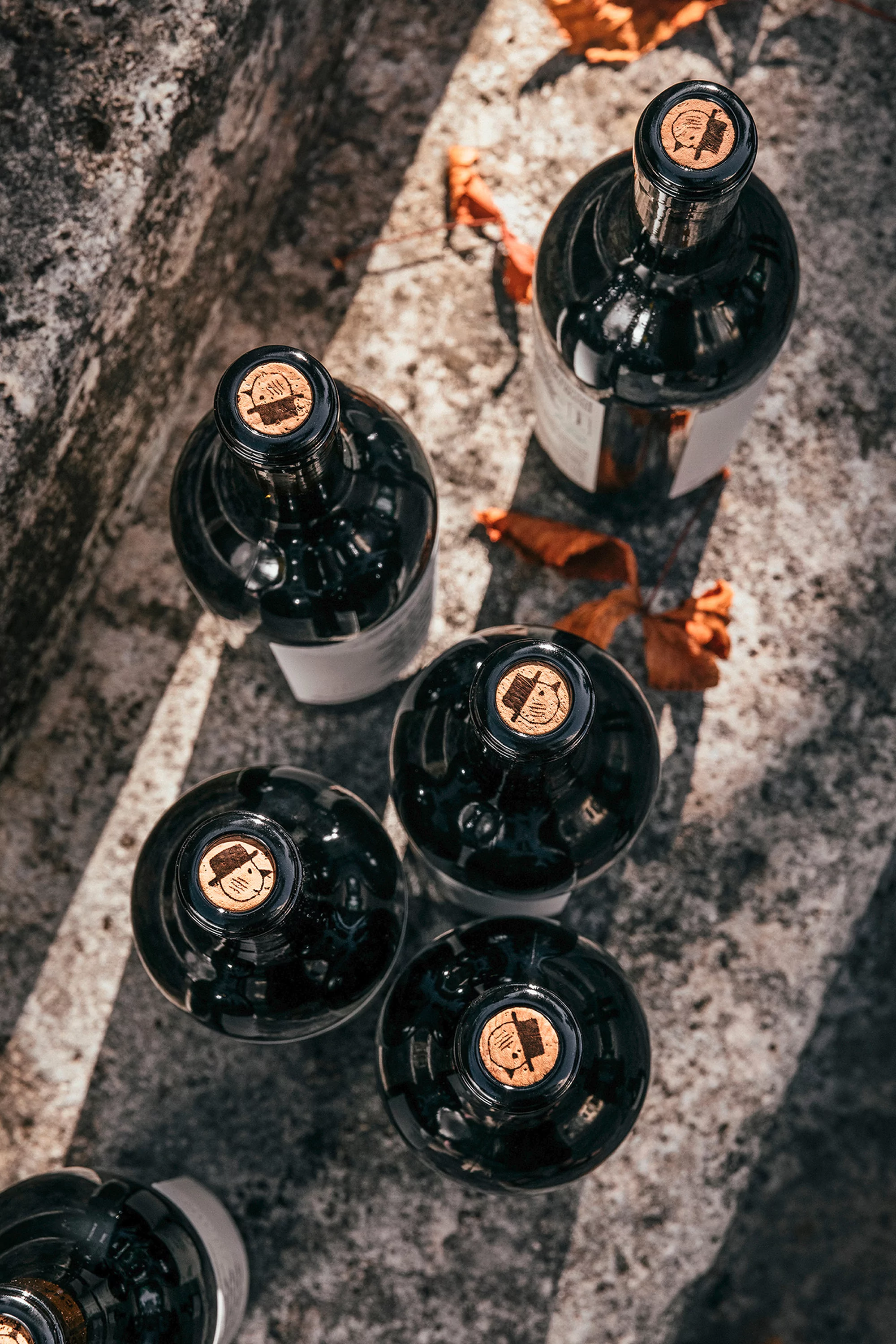 Overhead shot of five wine bottles with cork stoppers arranged on a textured stone surface with autumn leaves scattered around them.