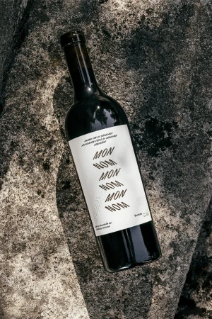 Wine bottle with typographic label resting diagonally on textured stone surface outdoors