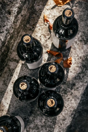 Top-down view of six dark wine bottles with cork stoppers resting on a textured stone surface outdoors in natural sunlight.