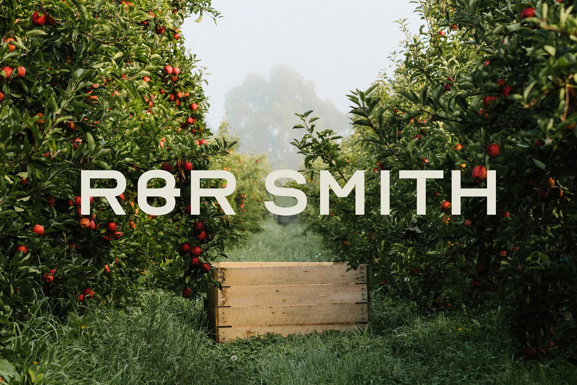 Scenic view of apple orchard rows with ripe apples on trees, wooden crate in foreground, and R&R Smith text overlay.