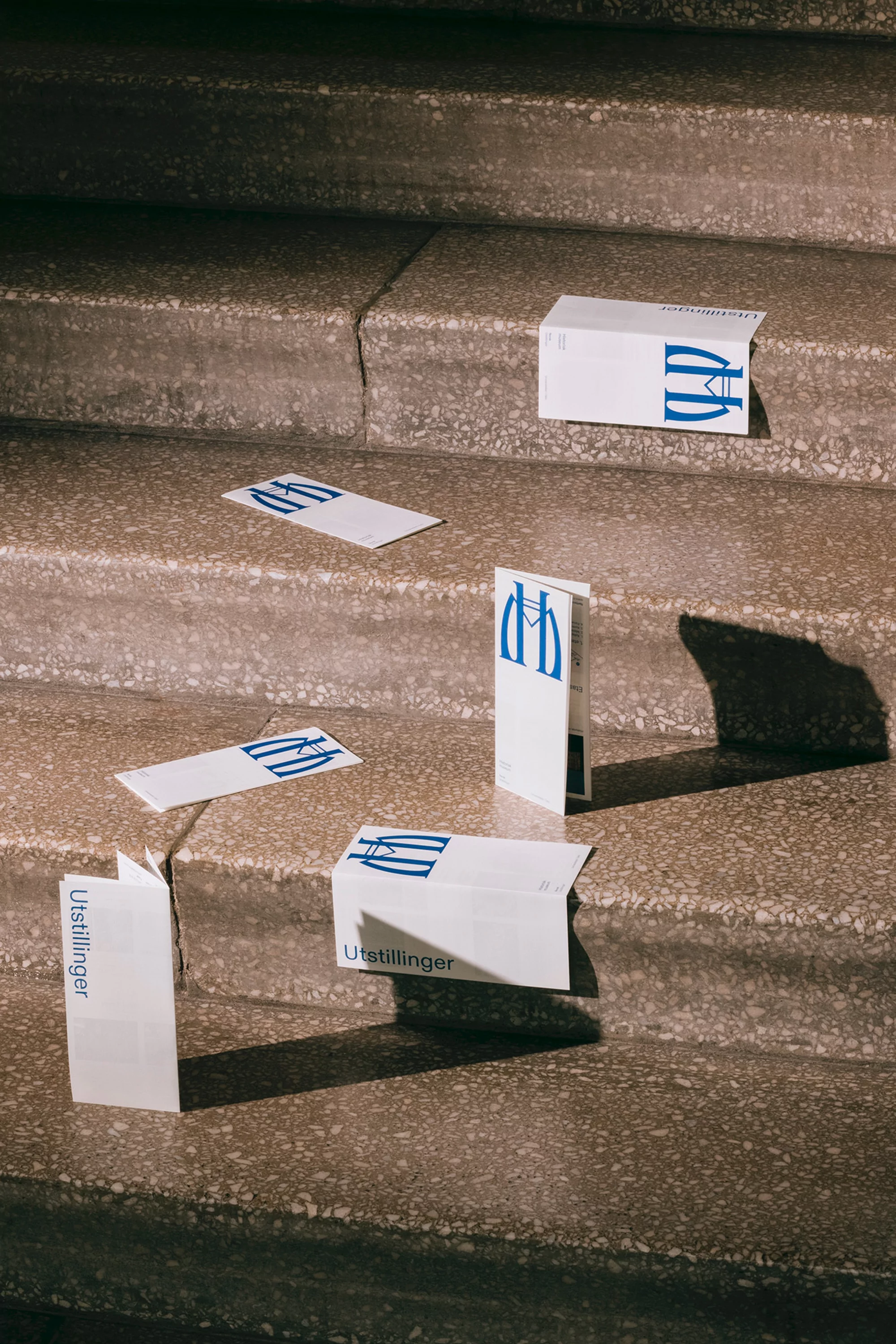 Scattered white brochures with a blue logo are arrayed on concrete steps, casting shadows in an indoor setting.