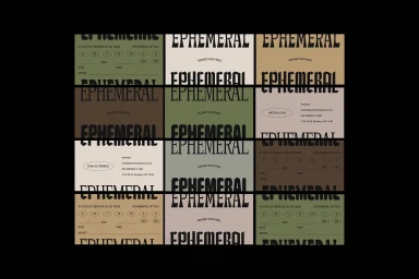 Grid of twelve graphic identity cards featuring bold typography and muted color palettes for Ephemeral brand identity