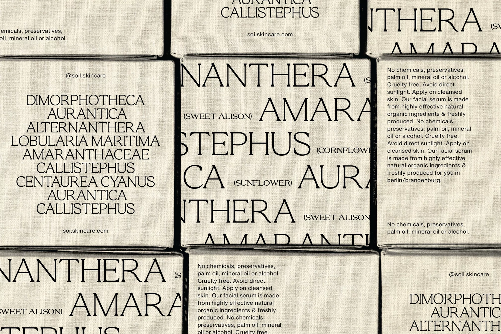 An overhead shot showcases neatly arranged boxes featuring botanical names and product details, reflecting a clean aesthetic and skincare theme.