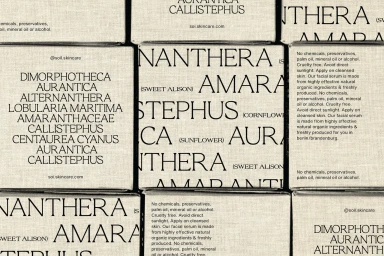 Close-up arrangement of textured paper boxes featuring bold black typography for SOIL Skincare brand identity design.
