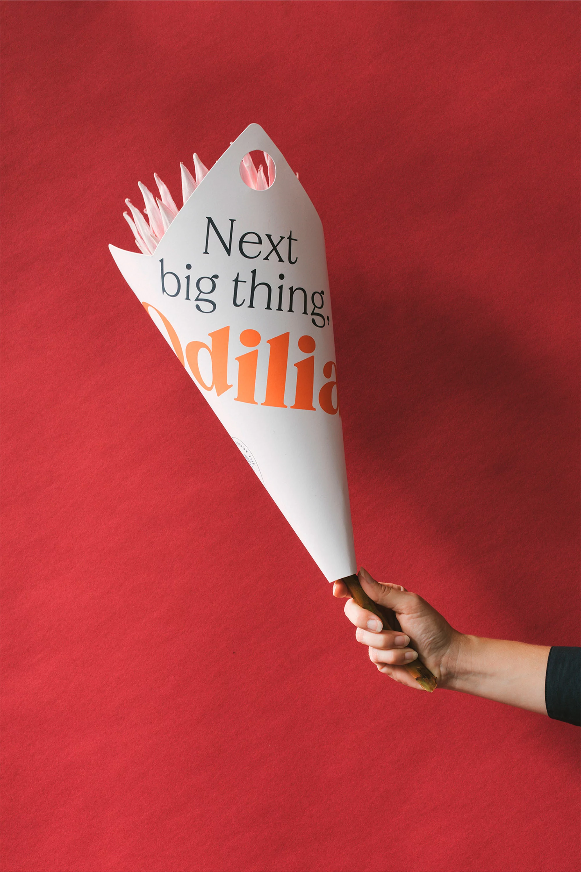 Hand holds a paper megaphone with 'Next big thing' text against a red background, promoting 'Odilia'.