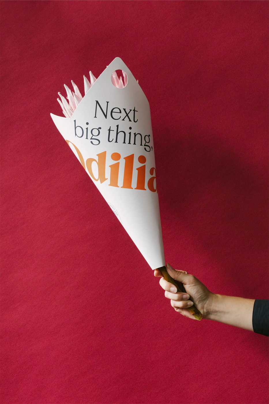 Hand holding a white paper bouquet wrapper printed with Odilia branding against a textured red background