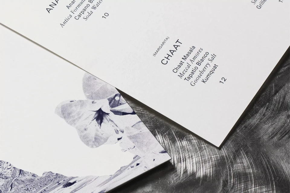 Brand Identity