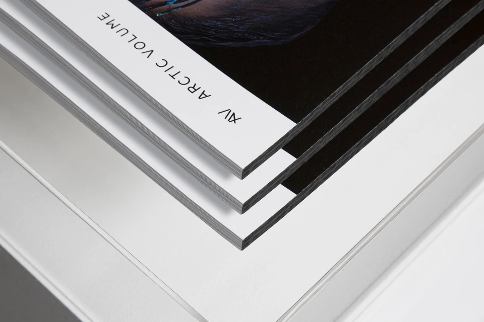 Brand Identity