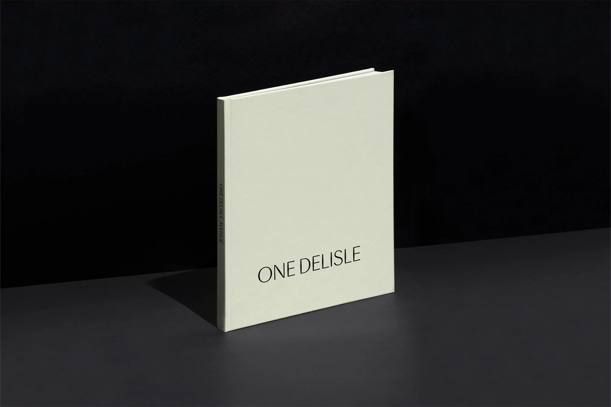 Elevated studio shot of a closed, cream-colored hardcover book with the title 'ONE DELISLE' against a gradient grey to black backdrop.
