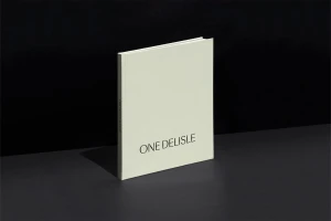 A minimalist light-colored hardcover book titled One Delisle standing upright on a dark grey surface against a black background