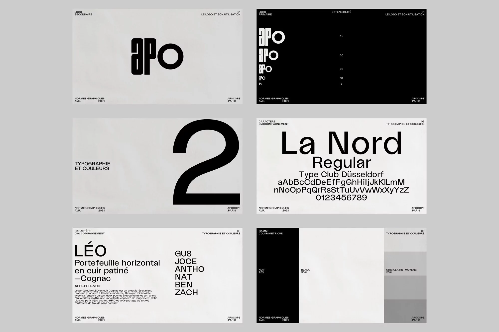 Graphic design concept featuring typography, color palettes, and logo variations on a light grey background, showcasing visual identity elements.