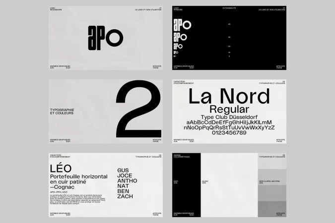 Graphic design concept featuring typography, color palettes, and logo variations on a light grey background, showcasing visual identity elements.