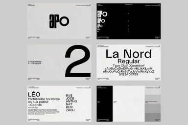 Monochrome brand identity presentation slides showing typography specimens, logo variations, and colour swatches for Apocope.