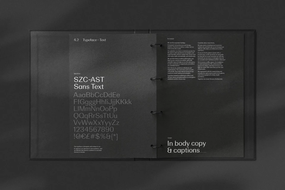 Brand Identity