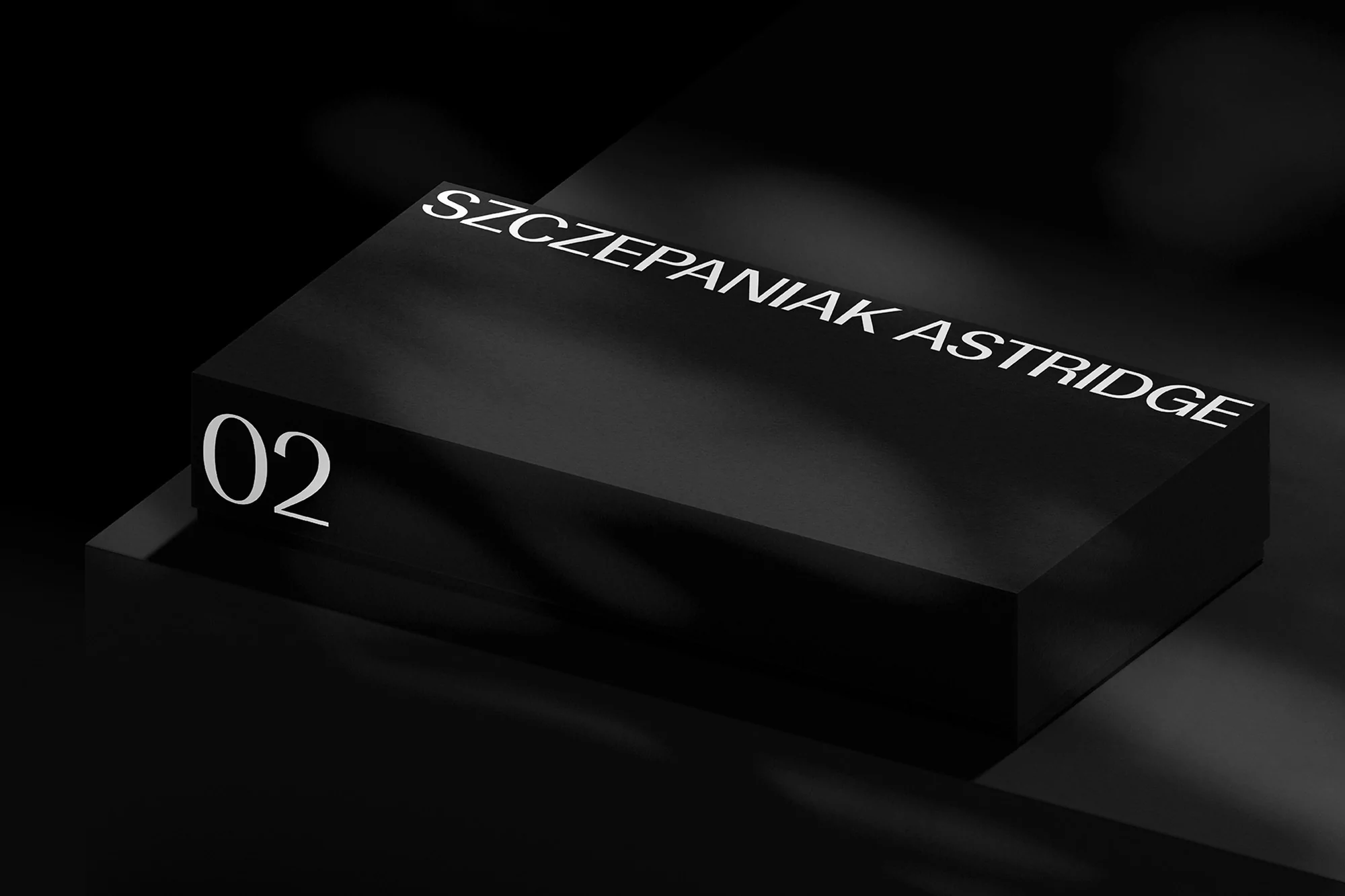 Black and white studio product shot of a rectangular block with typography and the number 02, placed on a shiny surface.