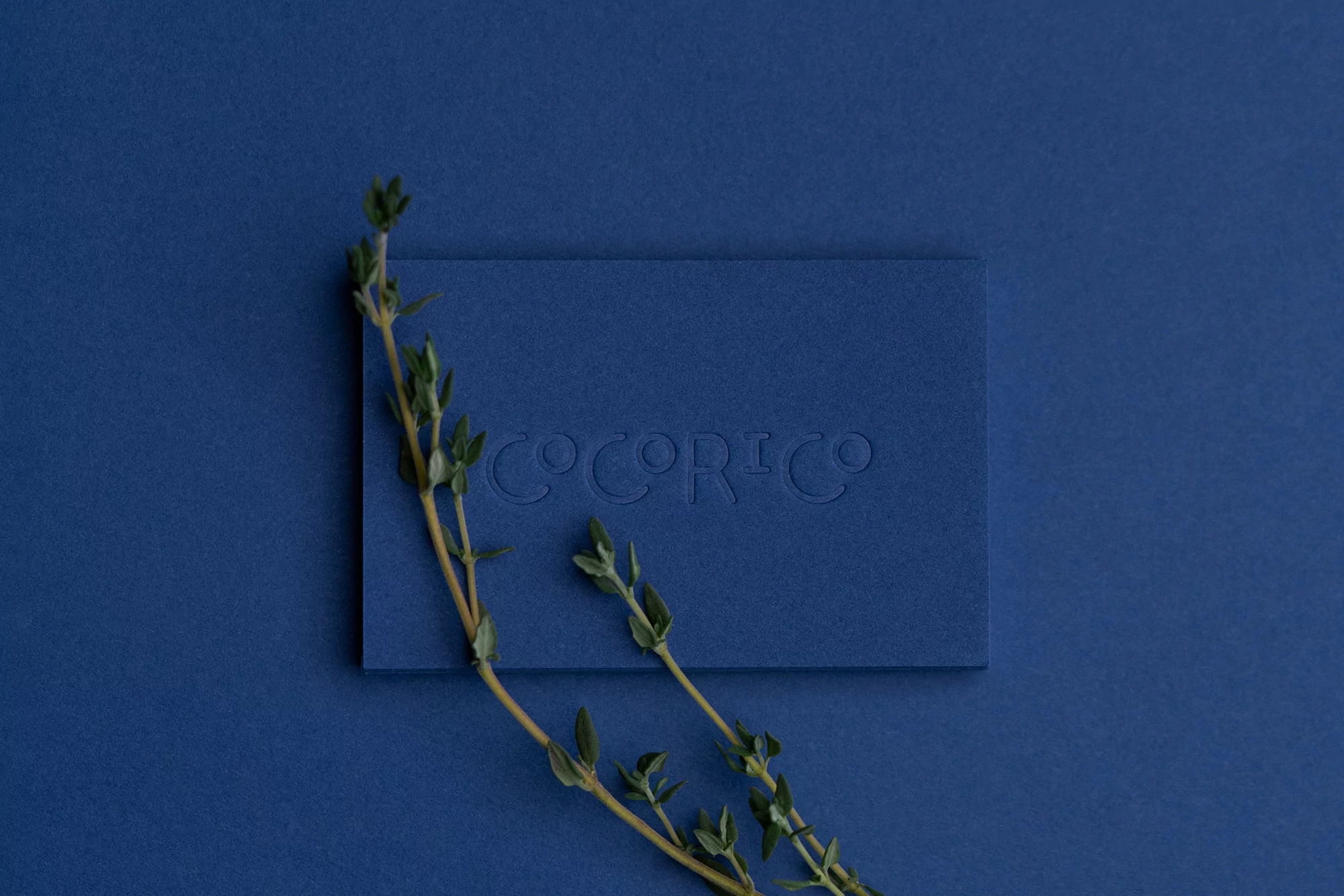 Studio shot of a blue textured card with the embossed text 'COCORICO', styled with a sprig of thyme on a matching blue background.