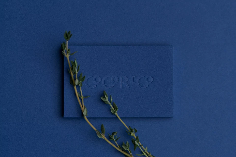Brand Identity