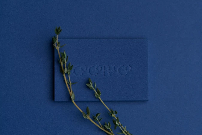 Brand Identity