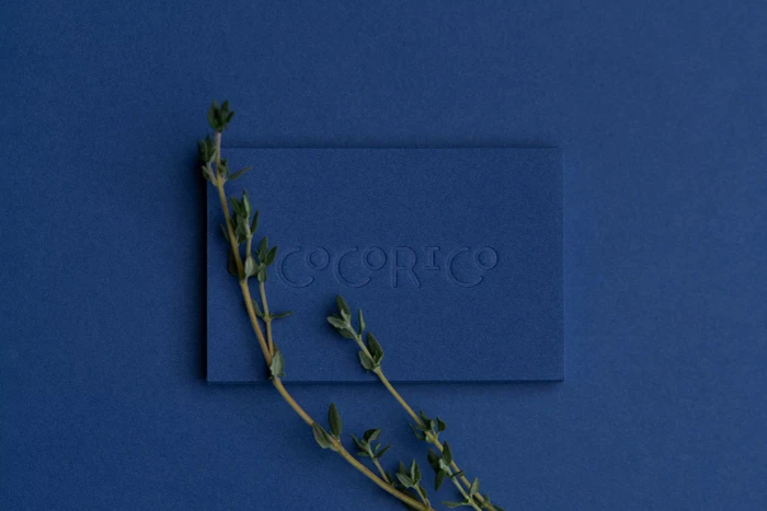 Blue business card with debossed text resting on a dark blue surface alongside fresh sprigs of green herbs.