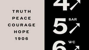 Graphic identity design for The OWO featuring minimalist typography and directional arrows on split black and cream panels