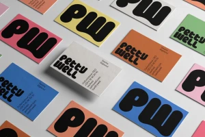 Flat lay of colorful business cards featuring bold black typography and pastel backgrounds for Petty Well