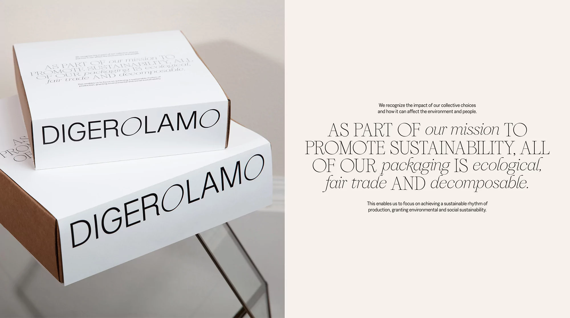 Two white cardboard boxes stacked, featuring the 'Digerolamo' logo and mission statement emphasizing sustainability and ecological packaging.